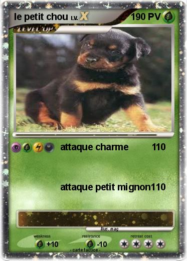 Pokemon le petit chou