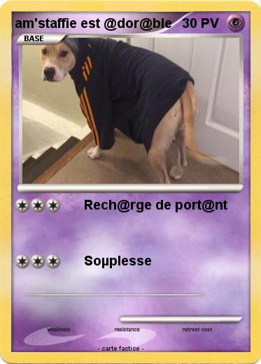 Pokemon am'staffie est @dor@ble