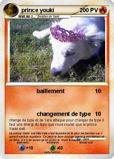 Pokemon prince youki