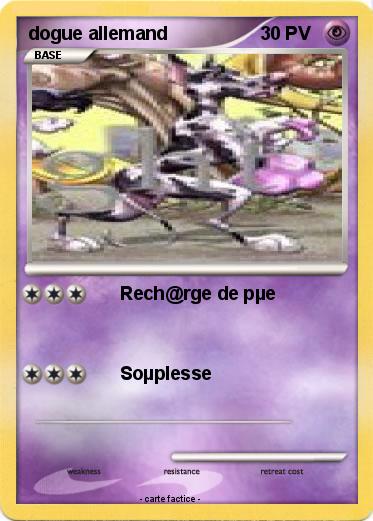 Pokemon dogue allemand