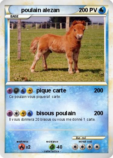 Pokemon poulain alezan