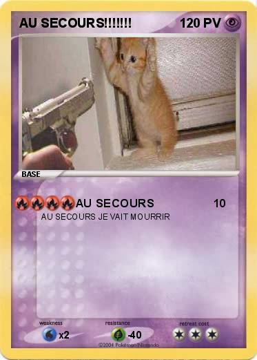 Pokemon AU SECOURS!!!!!!!