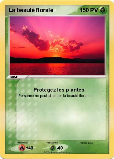 Pokemon La beauté florale