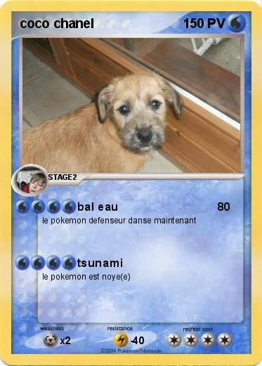 Pokemon coco chanel