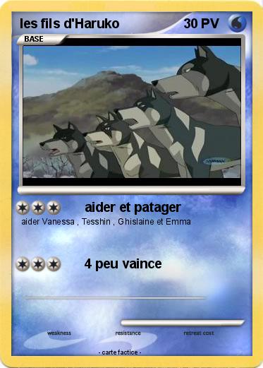 Pokemon les fils d'Haruko