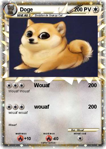 Pokemon Doge