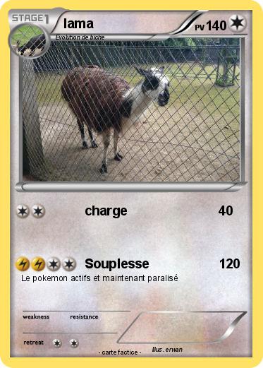 Pokemon lama