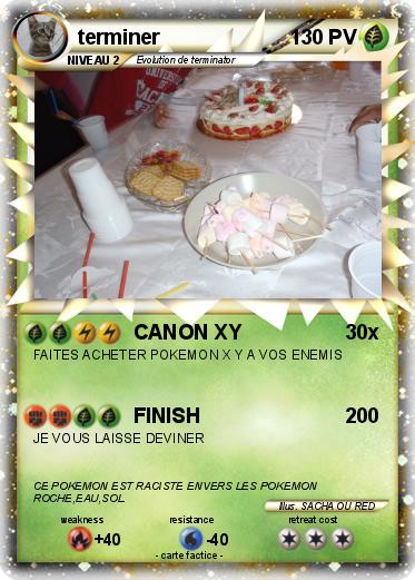 Pokemon terminer