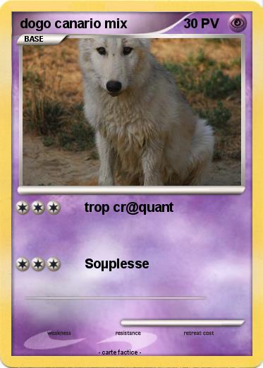 Pokemon dogo canario mix