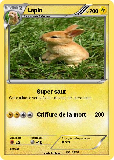 Pokemon Lapin