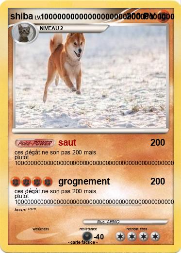 Pokemon shiba