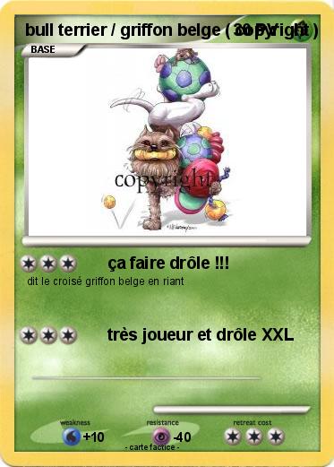 Pokemon bull terrier / griffon belge ( copyright )