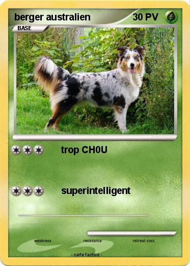 Pokemon berger australien