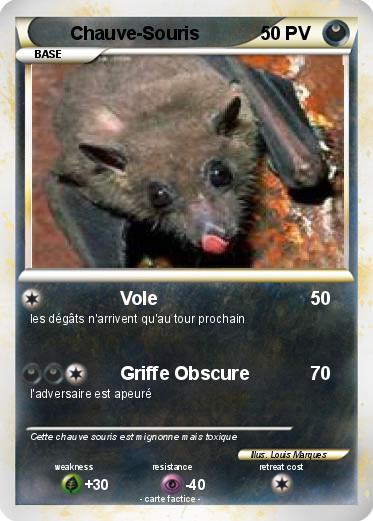 Pokemon Chauve-Souris