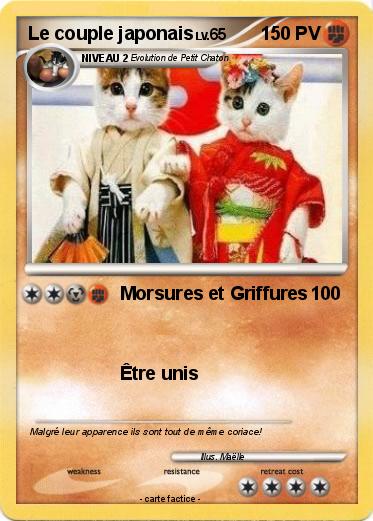 Pokemon Le couple japonais