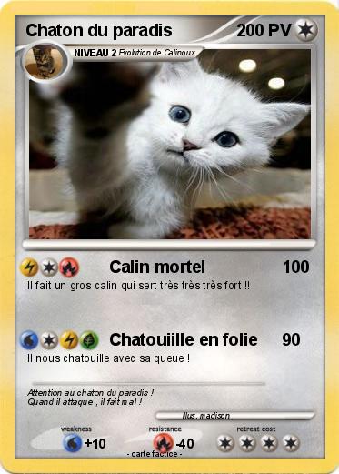 Pokemon Chaton du paradis