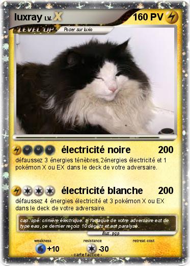 Pokemon luxray