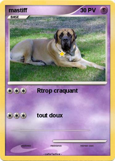 Pokemon mastiff