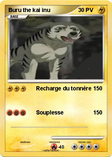Pokemon Buru the kai inu