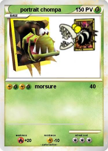 Pokemon portrait chompa