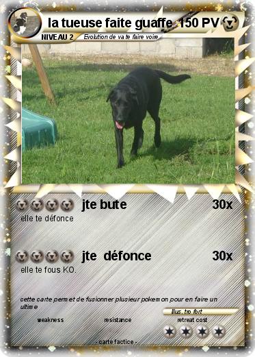 Pokemon la tueuse faite guaffe