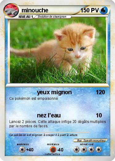 Pokemon minouche