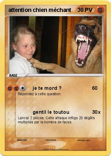 Pokemon attention chien méchant