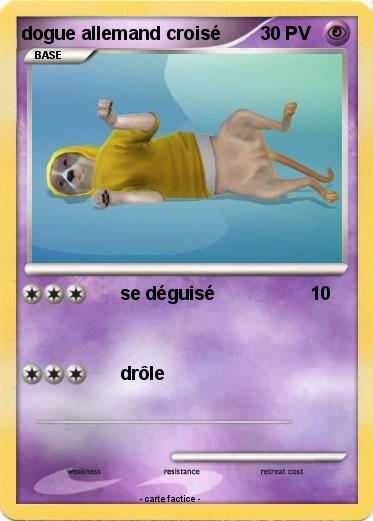 Pokemon dogue allemand croisé