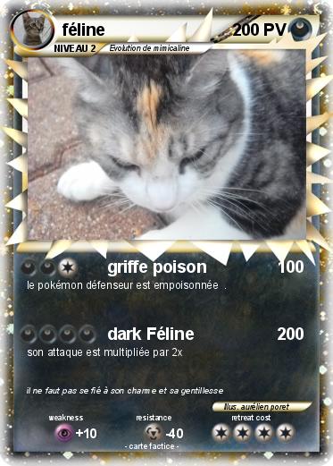 Pokemon féline