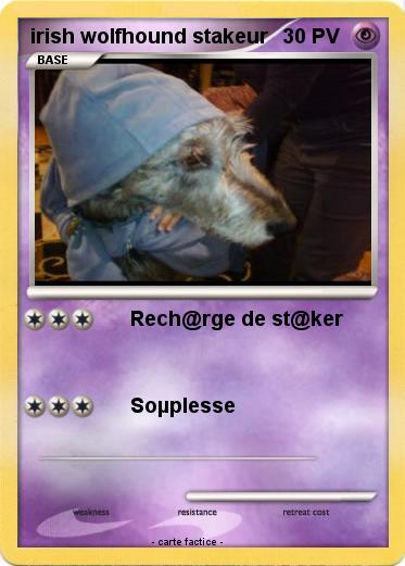 Pokemon irish wolfhound stakeur