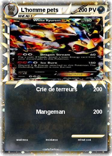 Pokemon L'homme pets