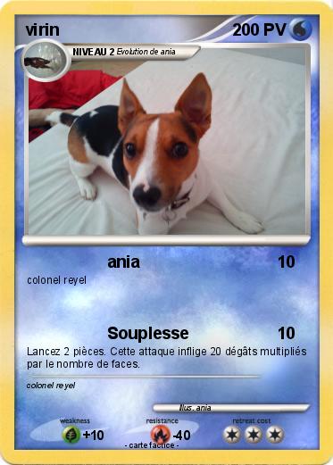 Pokemon virin