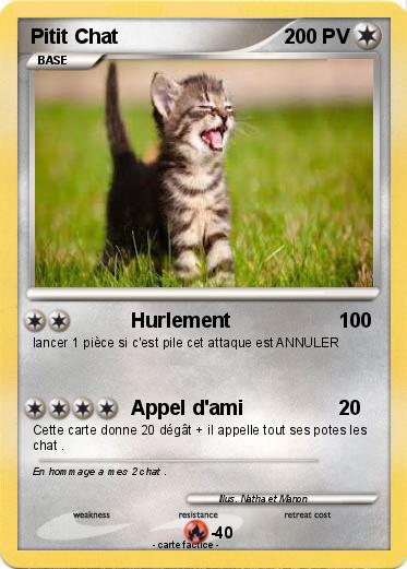 Pokemon Pitit Chat