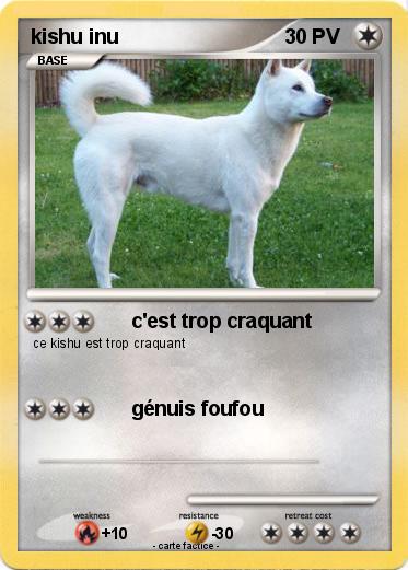 Pokemon kishu inu