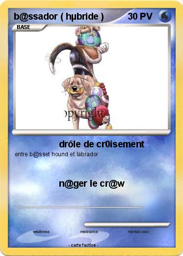 Pokemon b@ssador ( hµbride )