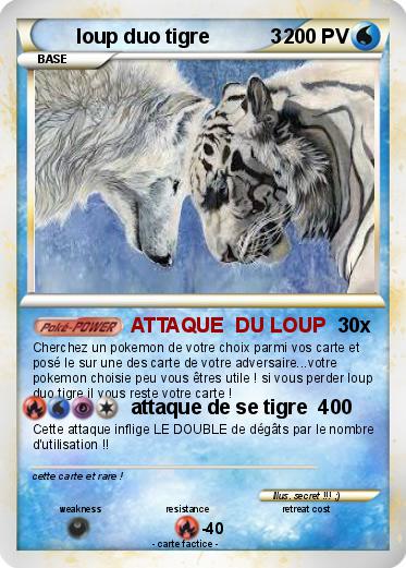 Pokemon loup duo tigre           3