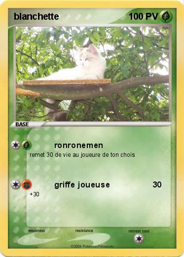 Pokemon blanchette