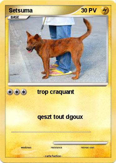 Pokemon Setsuma