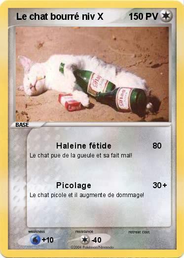 Pokemon  Le chat bourré niv X