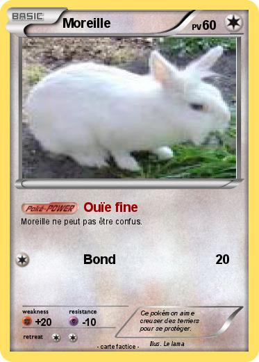 Pokemon Moreille