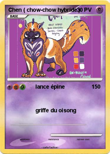 Pokemon Chen ( chow-chow hybride )