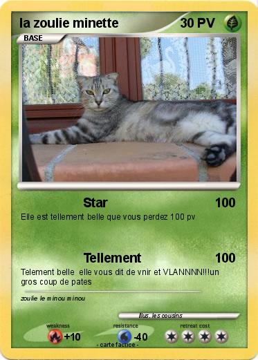 Pokemon la zoulie minette