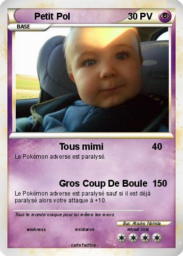 Pokemon Petit Pol