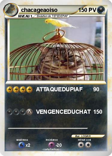 Pokemon chacageaoiso