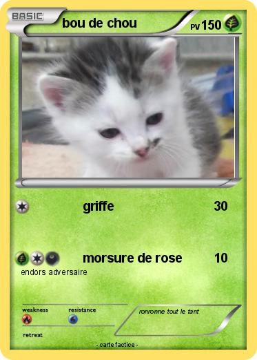 Pokemon bou de chou