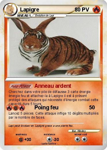 Pokemon Lapigre