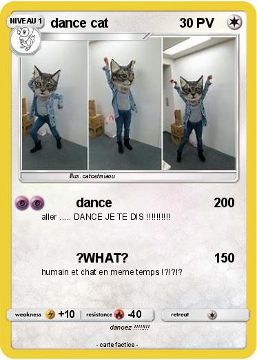 Pokemon dance cat