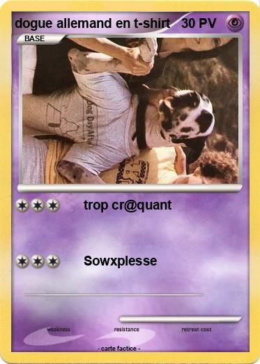 Pokemon dogue allemand en t-shirt