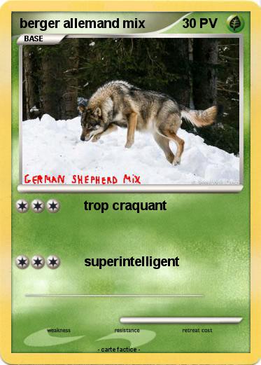 Pokemon berger allemand mix