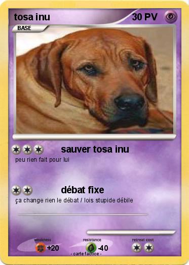 Pokemon tosa inu